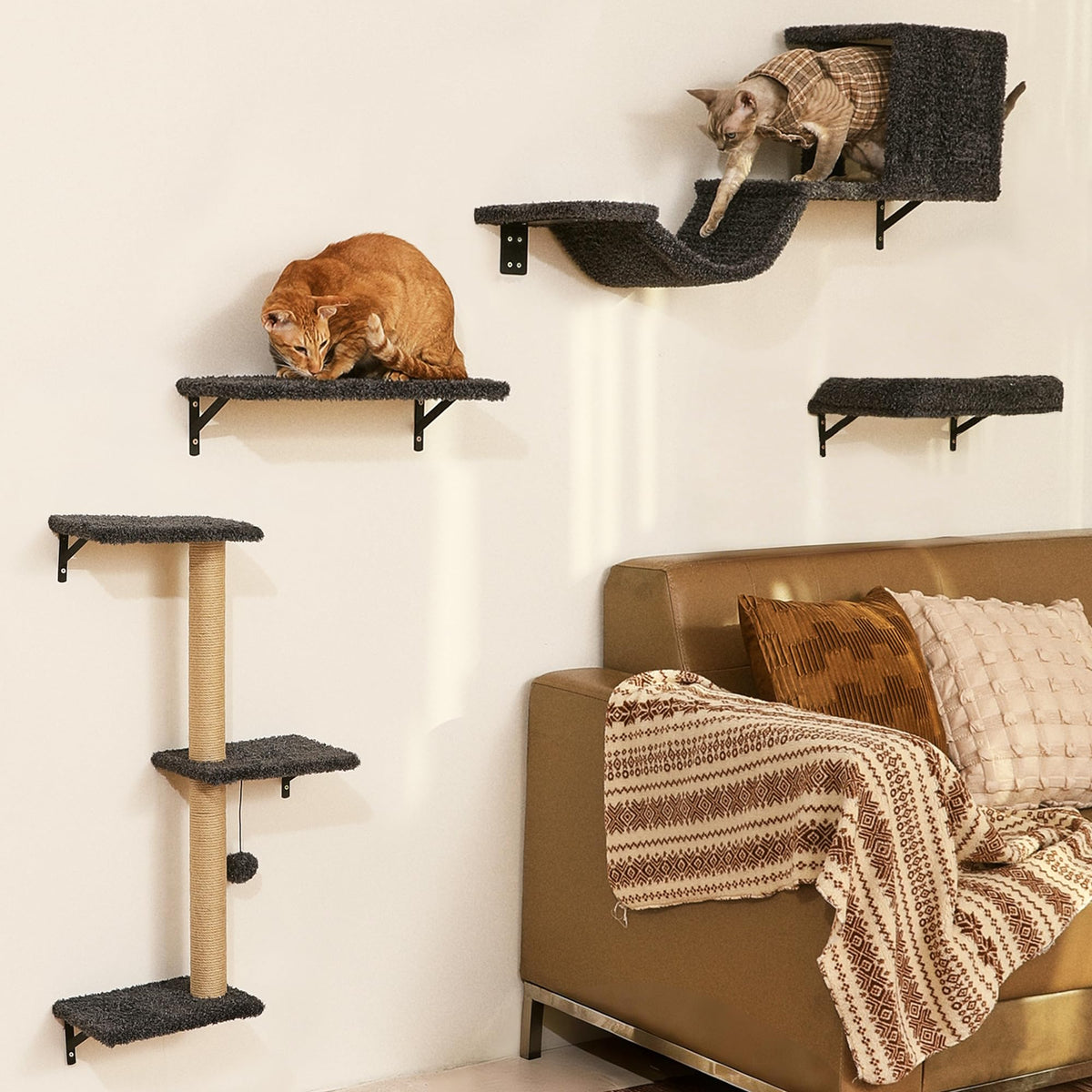 Estantería de pared FUKUMARU 4 en 1, estable y segura para el juego diario de tu gato.