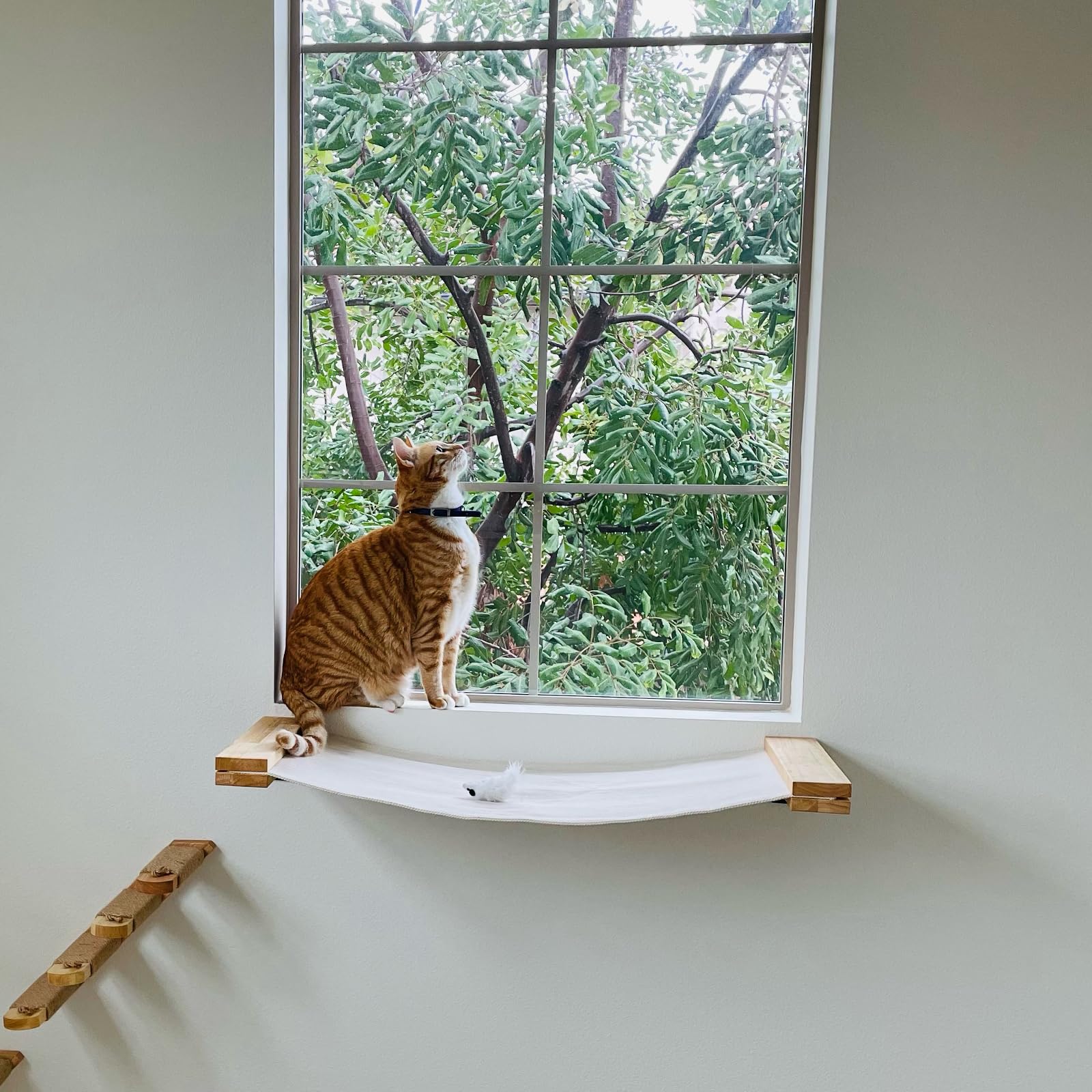 FUKUMARU dimensiones 34x13 pulgadas maximizan espacio vertical para el gato