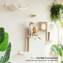 FUKUMARU gato en la hamaca de pared, descanso cómodo.