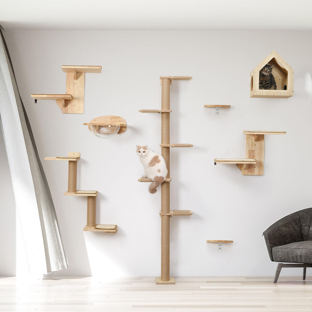FUKUMARU regalo perfecto para amantes de gatos, embalaje decorativo.