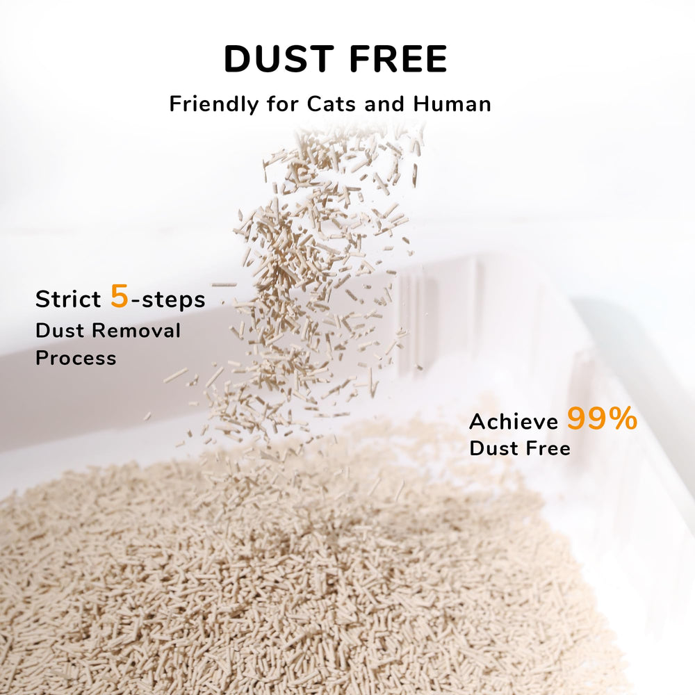 Control de olor natural con FUKUMARU tofu litter, hogar más fresco.