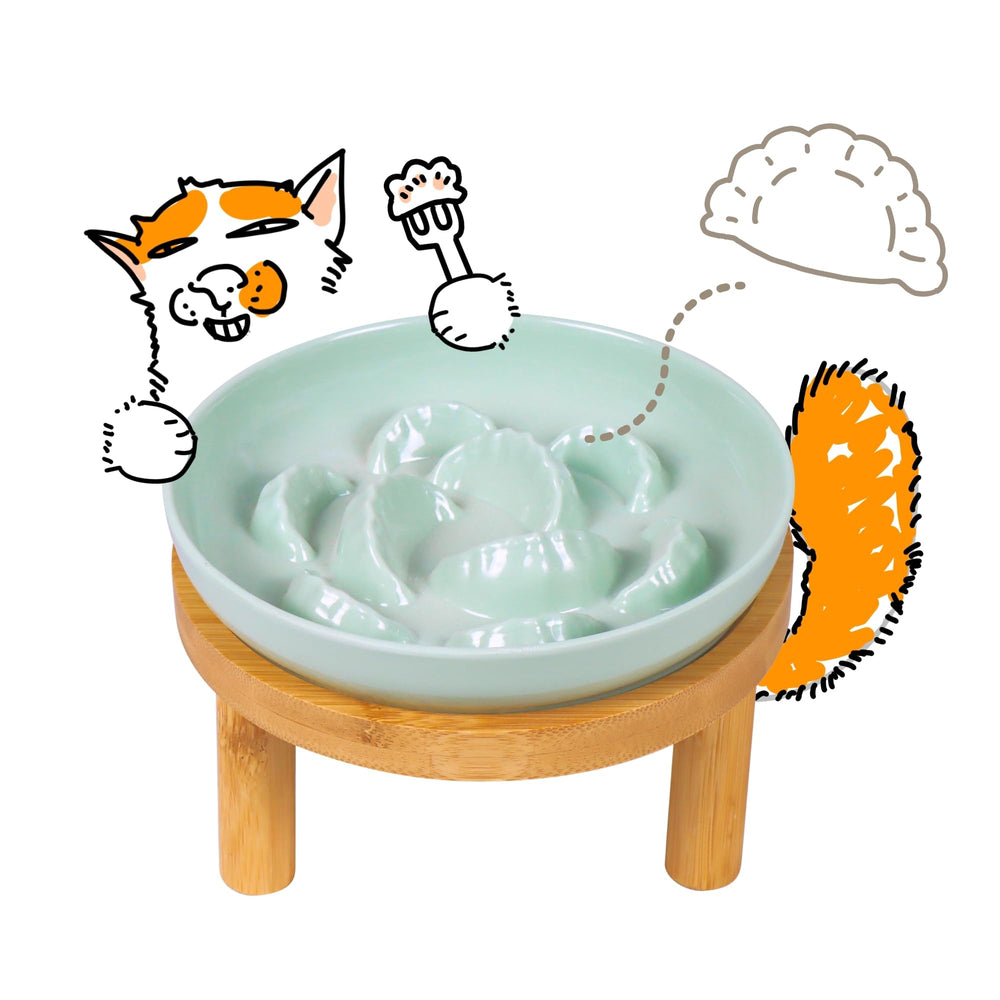 FullCharm cuenco alimentador lento con diseño de 6,3 pulgadas para comer con calma.