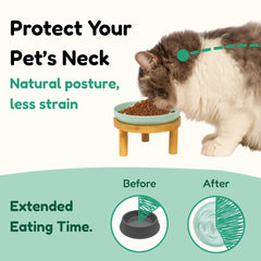 FullCharm soporte elevado para gatos: favorece una postura cómoda durante la comida.