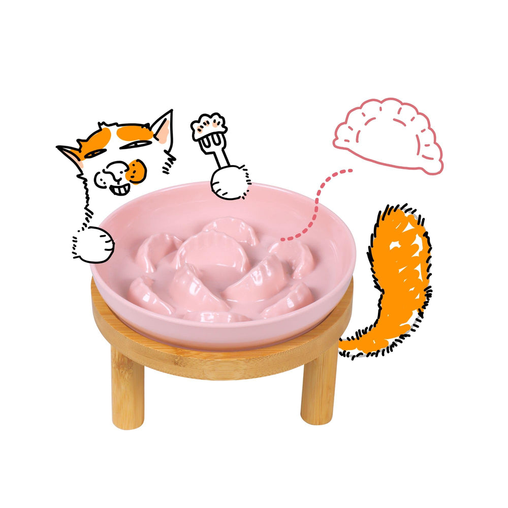 FullCharm tazón lento para gatos con soporte alto, comodidad al comer
