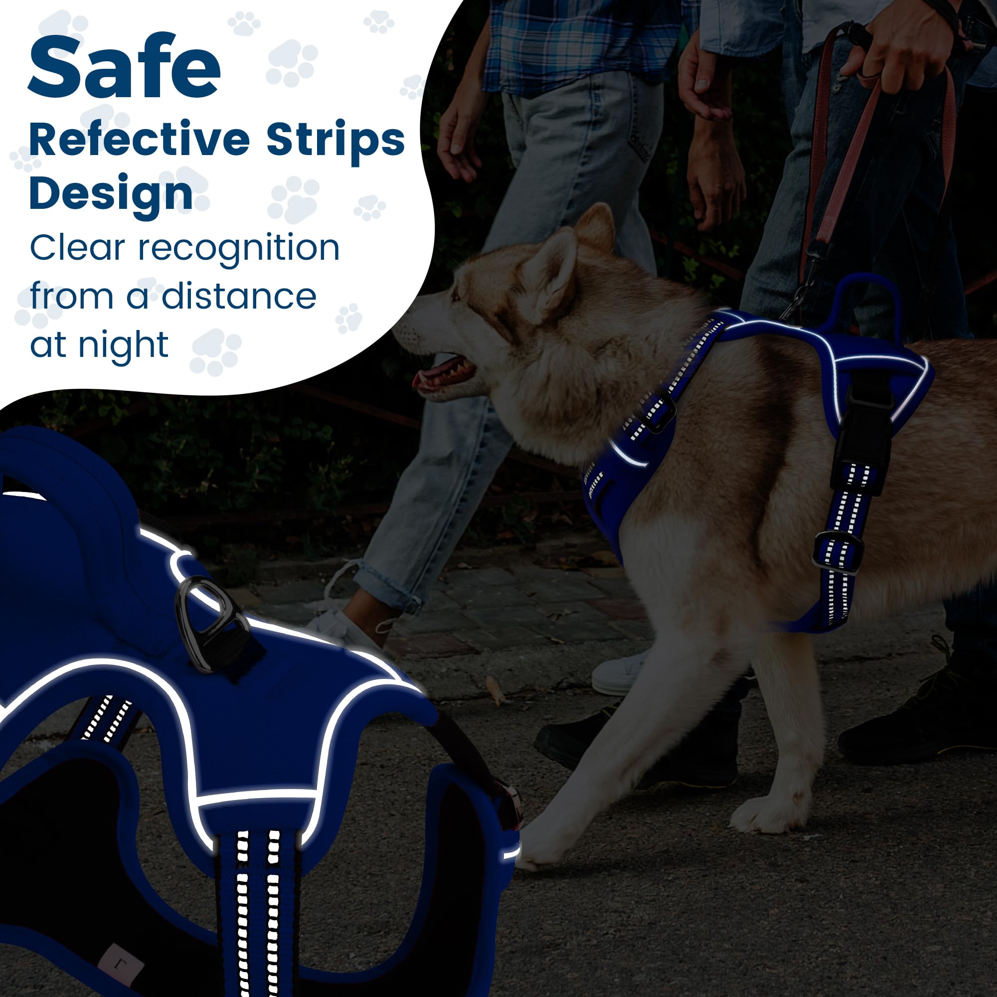 Arnés Funfox para paseos nocturnos con mayor visibilidad