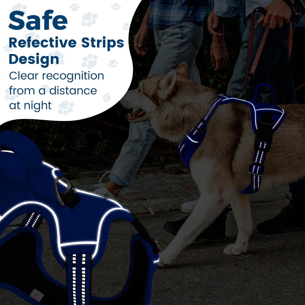 Arnés Funfox para paseos nocturnos con mayor visibilidad