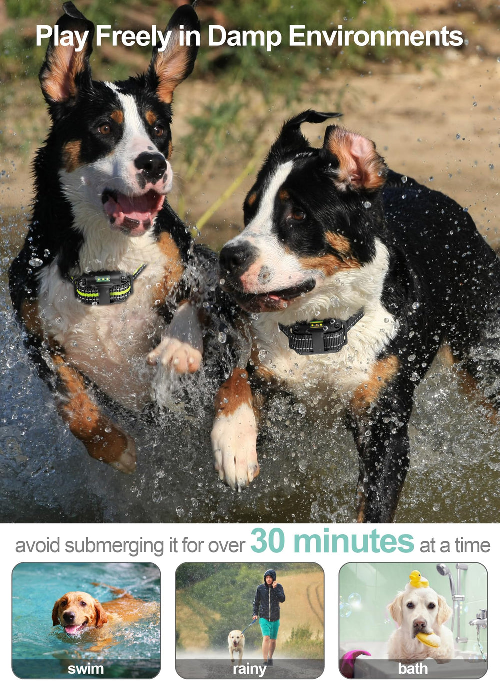 Collar FunniPets IP65, diseño a prueba de agua para uso diario.