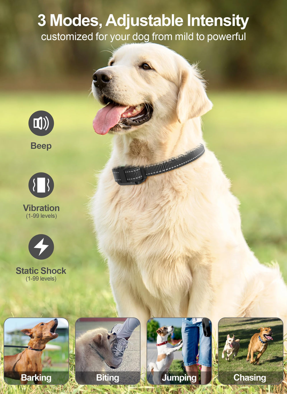 Alcance de 3000 pies con control remoto FunniPets para entrenamiento a distancia.