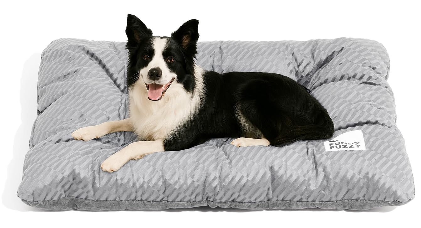 FUNNY FUZZY cama perro lavable, ideal para lavado frecuente y uso diario.