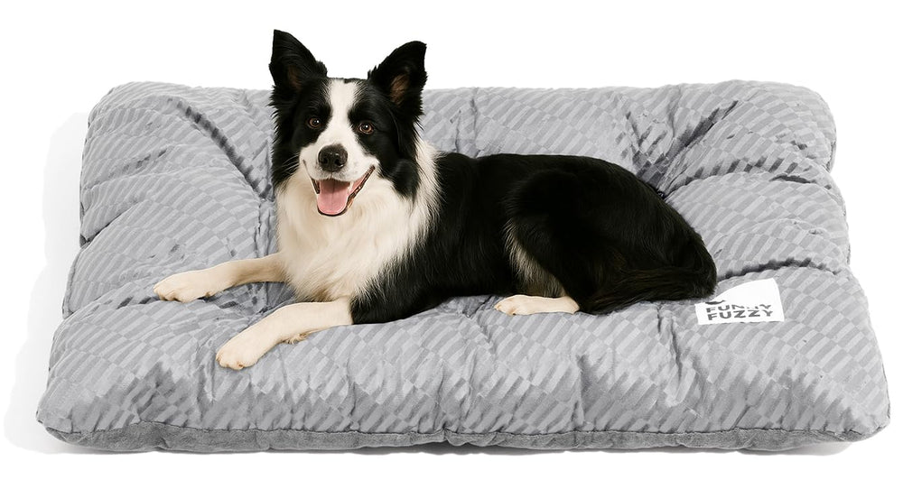 FUNNY FUZZY cama perro lavable, ideal para lavado frecuente y uso diario.