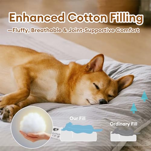 FUNNY FUZZY cama-perro-lavable, fácil de limpiar tras jugar
