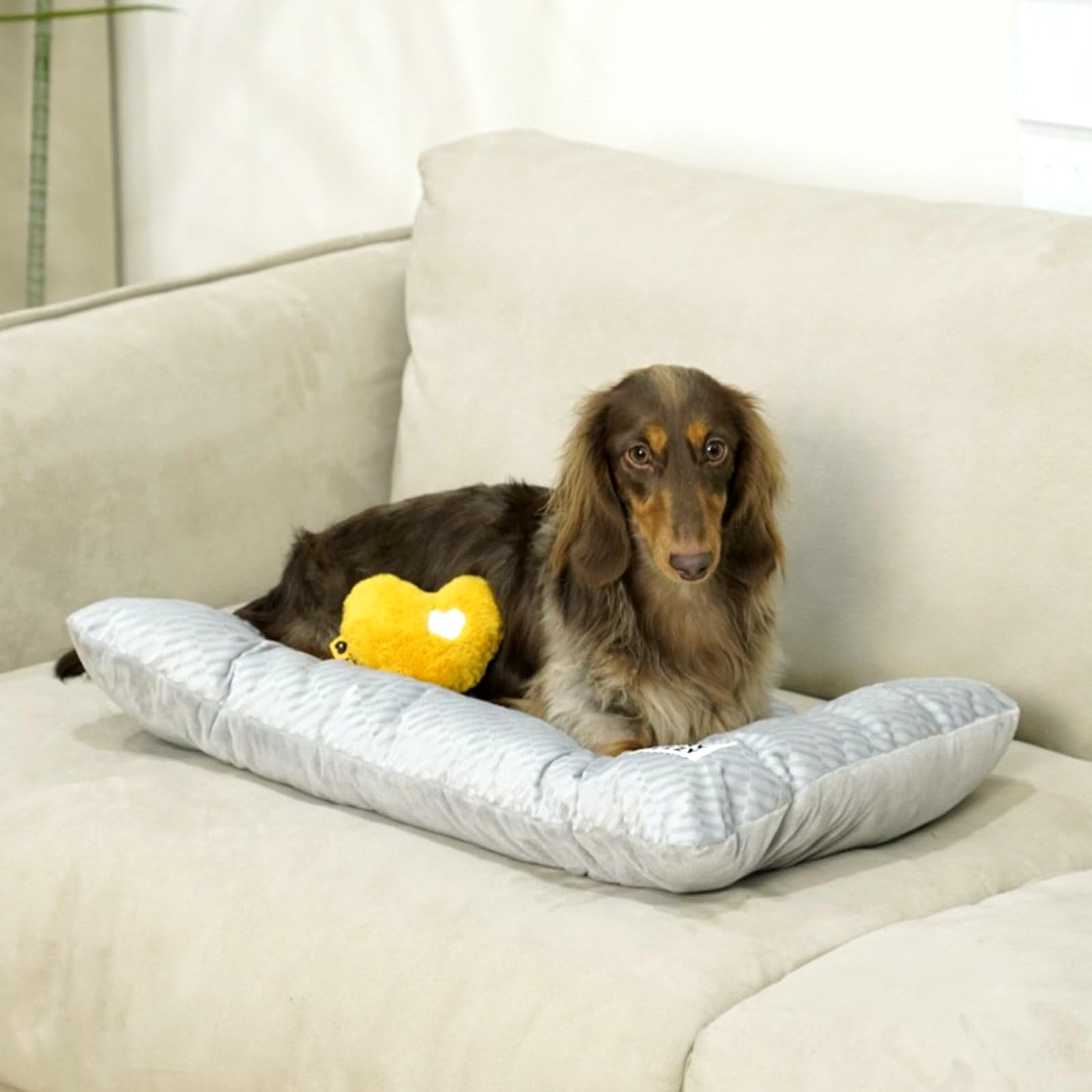 FUNNY FUZZY cama-perro-tamano-xl, relax amplio para mascotas grandes