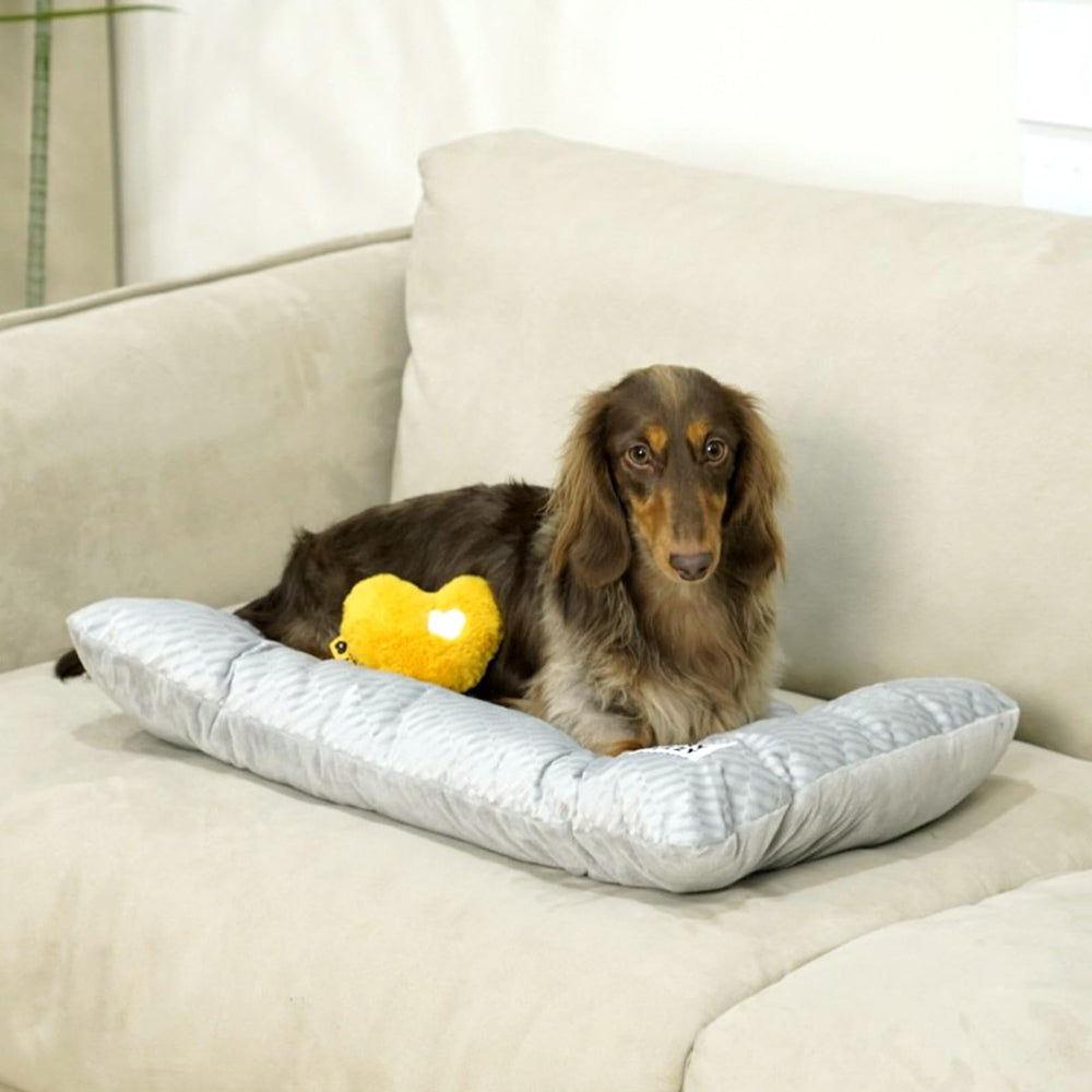 FUNNY FUZZY cama-perro-tamano-xl, relax amplio para mascotas grandes