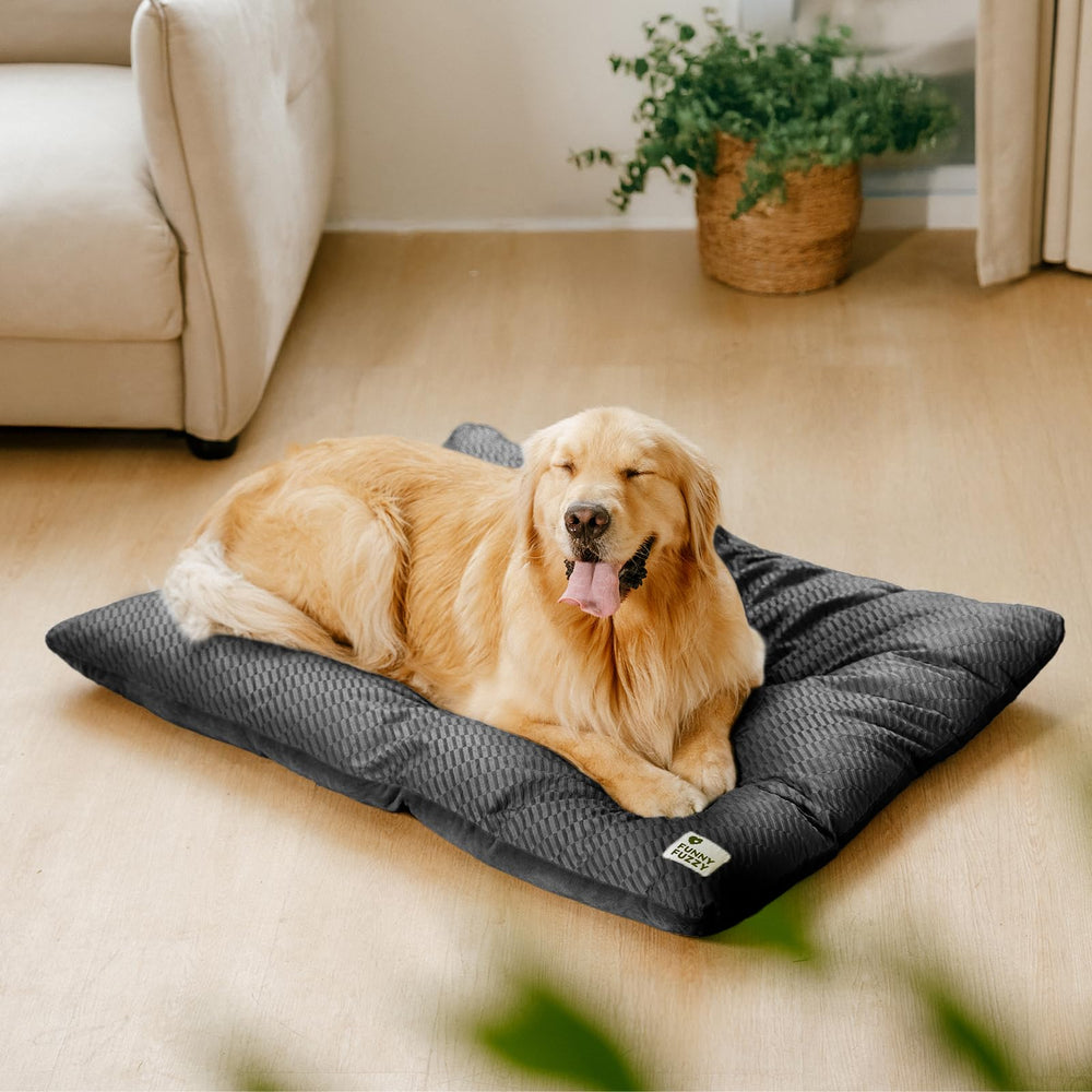 FUNNY FUZZY cama para perro XL, ajuste para jaulas de 24–42 pulgadas