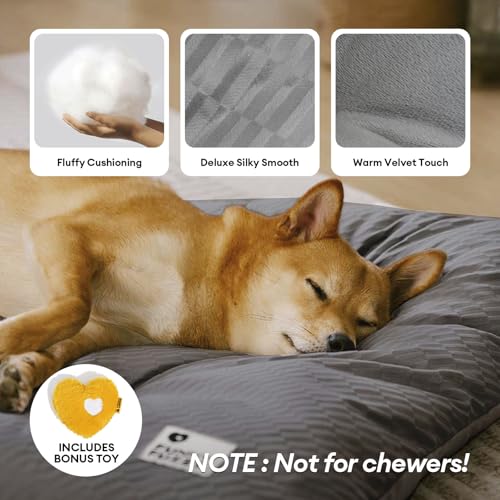 FUNNY FUZZY cama para perro XL, lado sherpa suave para calor reconfortante
