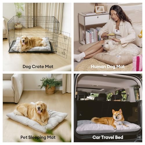 FUNNY FUZZY cama para perro XL, relleno de algodón grueso para soporte