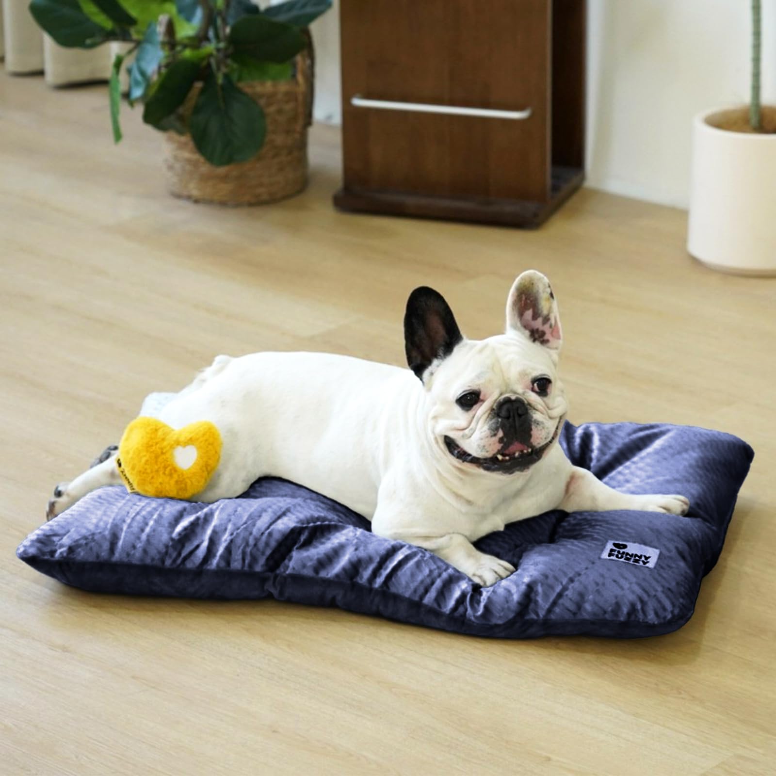FUNNY FUZZY uso interior, ideal para perros y gatos.