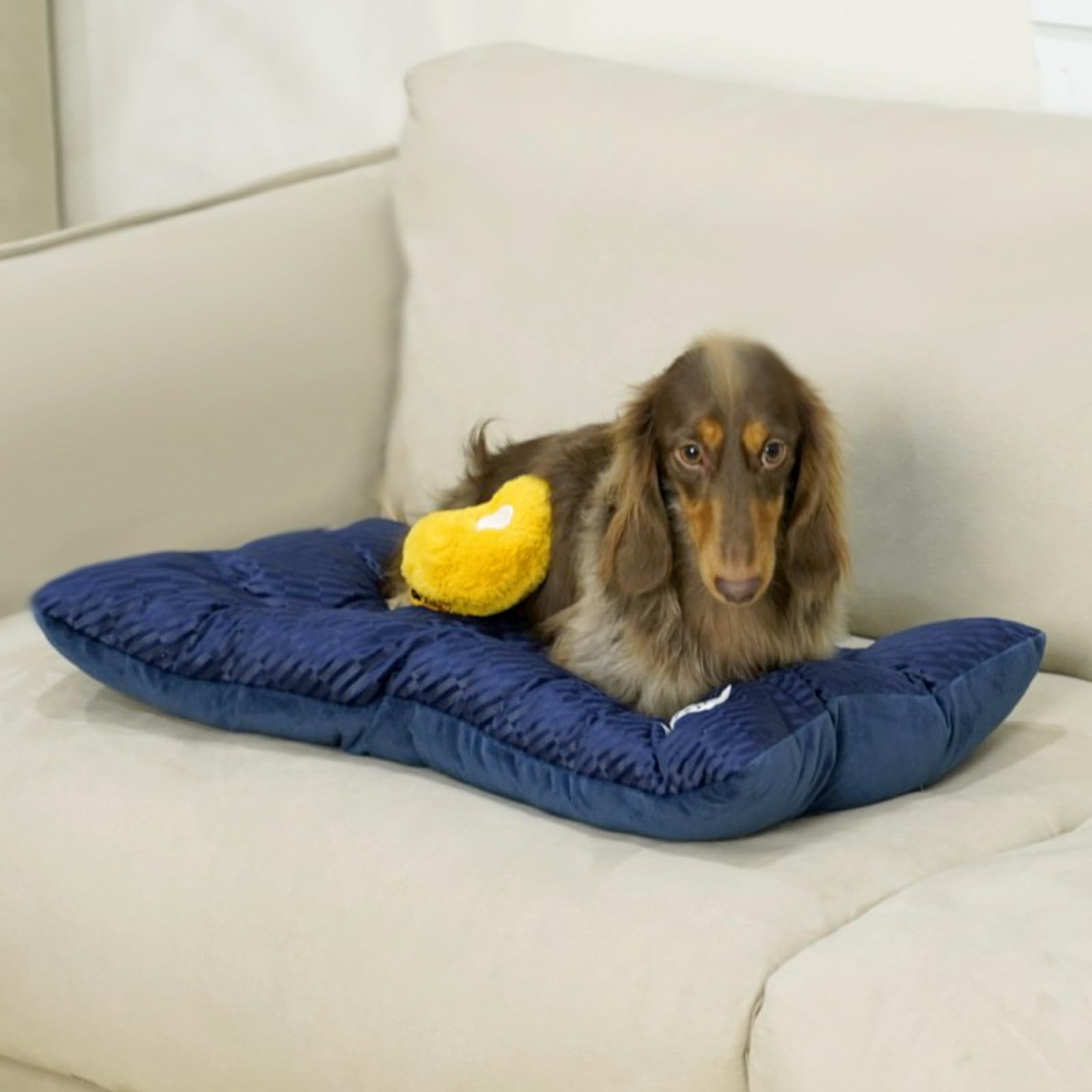 FUNNY FUZZY cama-perro-lavable-a-maquina, limpieza fácil y rápida.