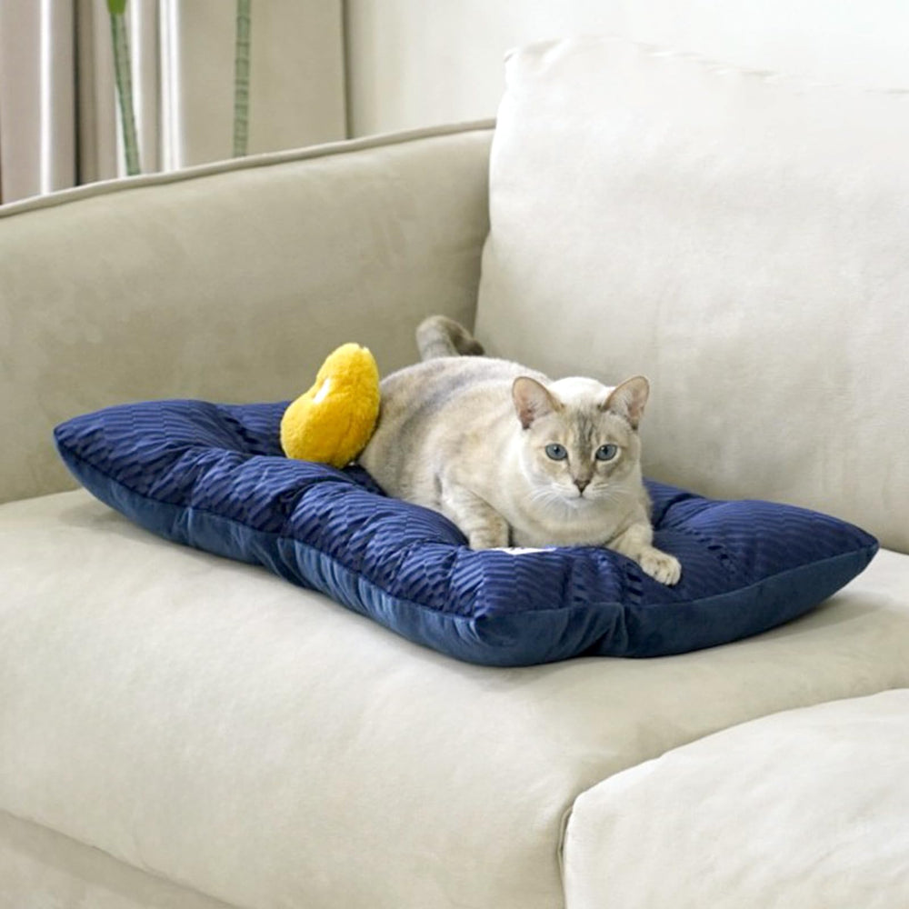 FUNNY FUZZY cama-perro-transportable, se adapta a jaulas y transportines.