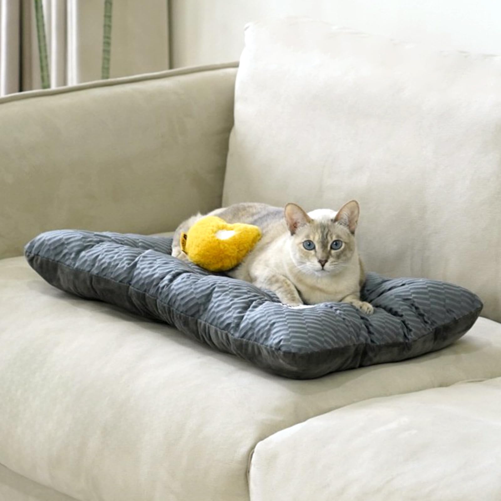 FUNNY FUZZY cama transportable para jaula, ideal para viajar.