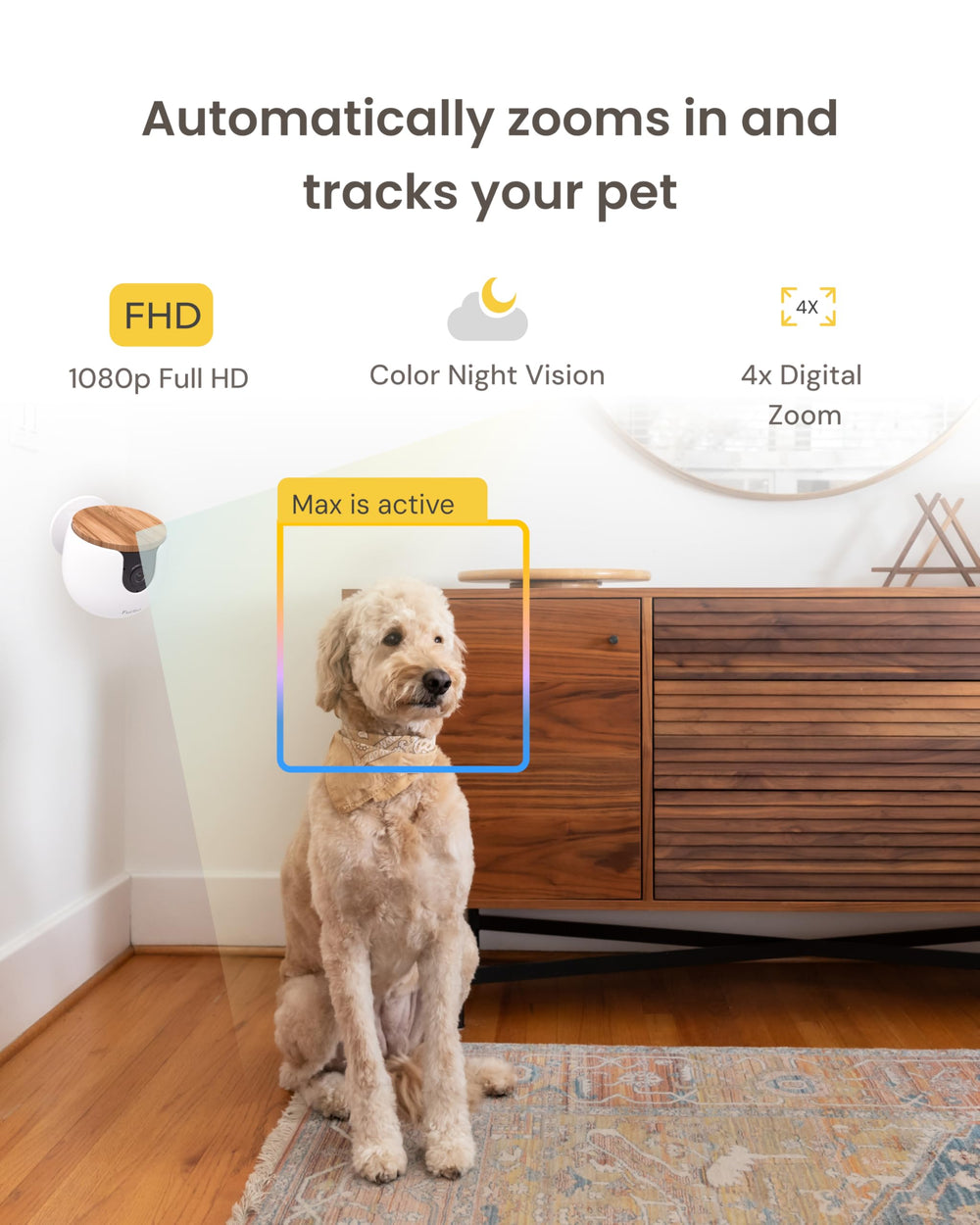 Furbo Mini configuración fácil y conexión WiFi segura para casa.