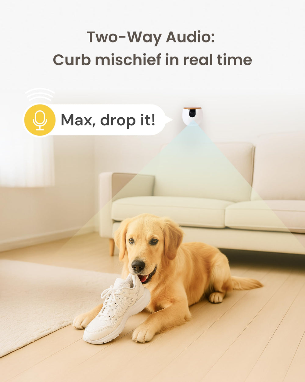 Furbo Mini con prueba de 14 días de herramientas de alerta con inteligencia artificial.