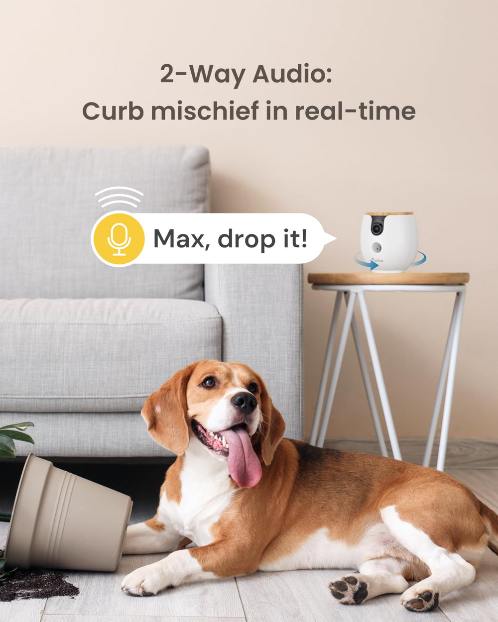 Furbo Mini detección de ladridos para monitorear el comportamiento.