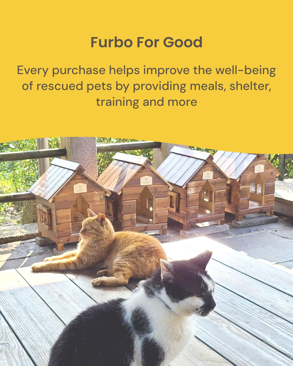 Furbo prueba gratuita de nanny para alertas inteligentes y IA.