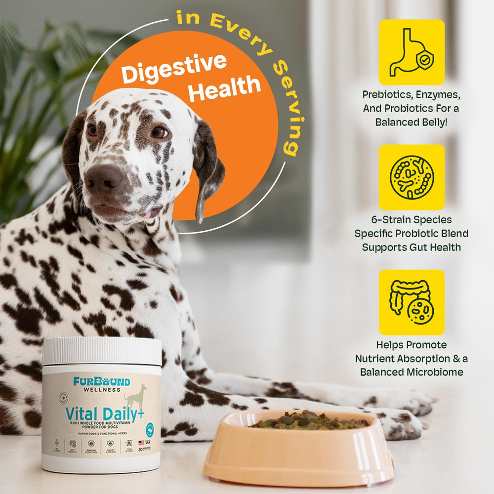 FurBound Polvo Multivitamínico para perros apoya el sistema inmunitario.