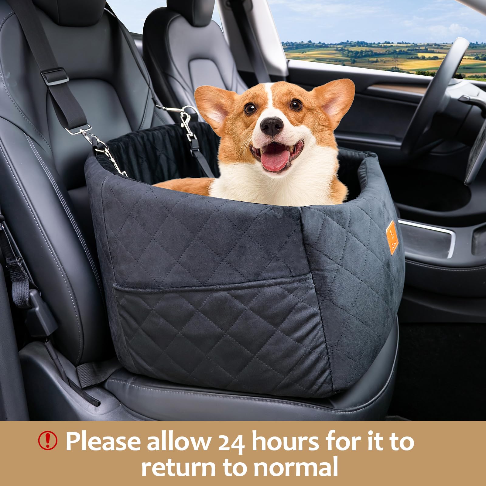 FurFrolic funda desmontable lavable y cama de perro con espuma suave.