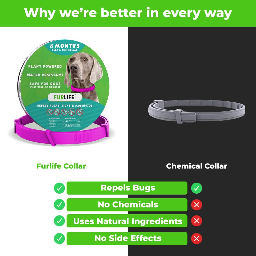 FurLife collar rosa resistente al agua para perros activos.