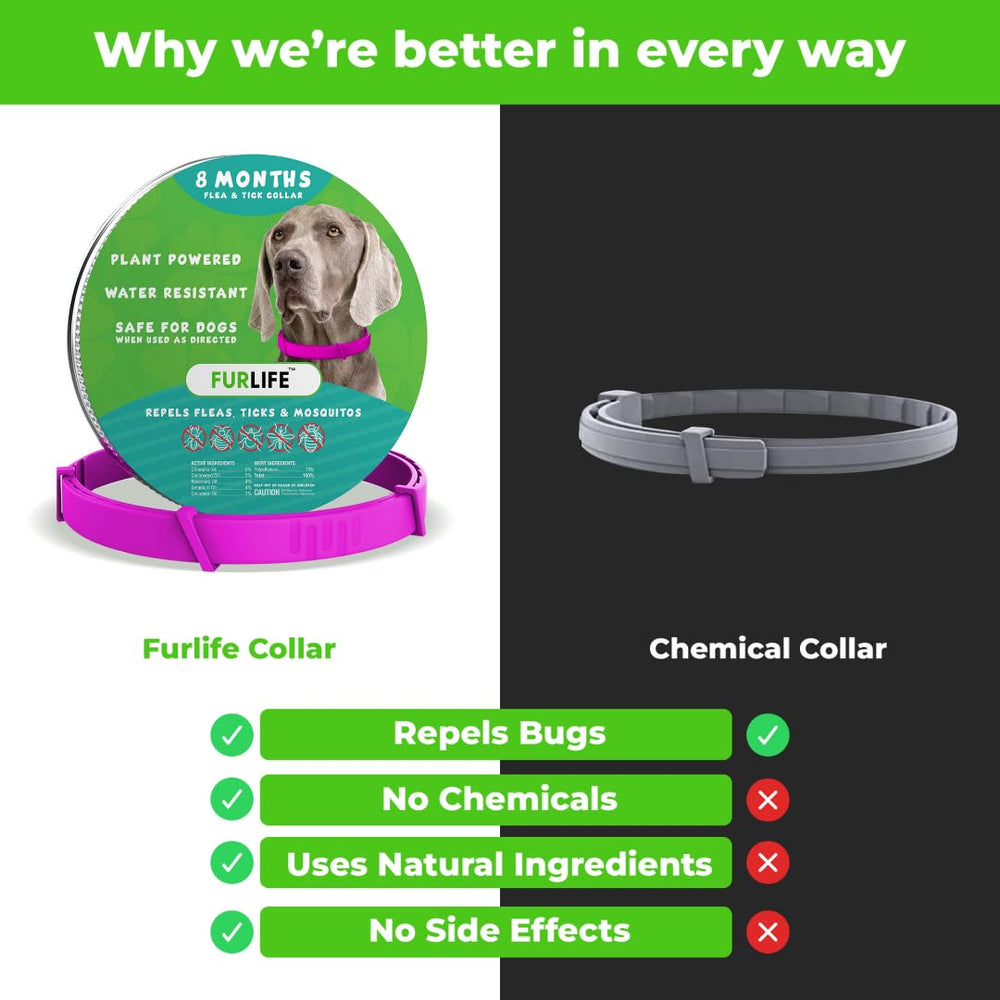 FurLife collar rosa resistente al agua para perros activos.