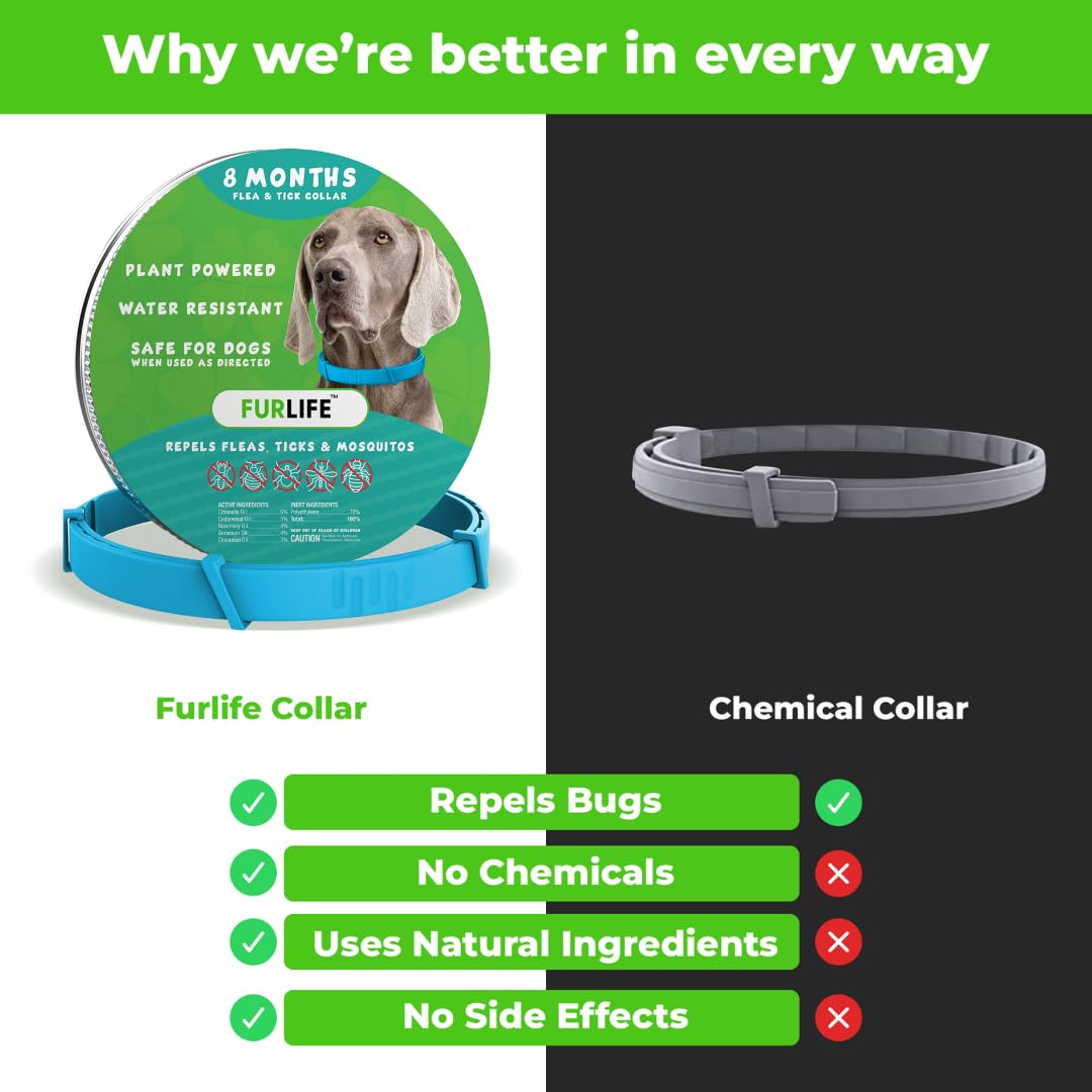 Collar FurLife con cierre rápido para un ajuste cómodo durante el juego.