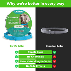 Collar FurLife con cierre rápido para un ajuste cómodo durante el juego.
