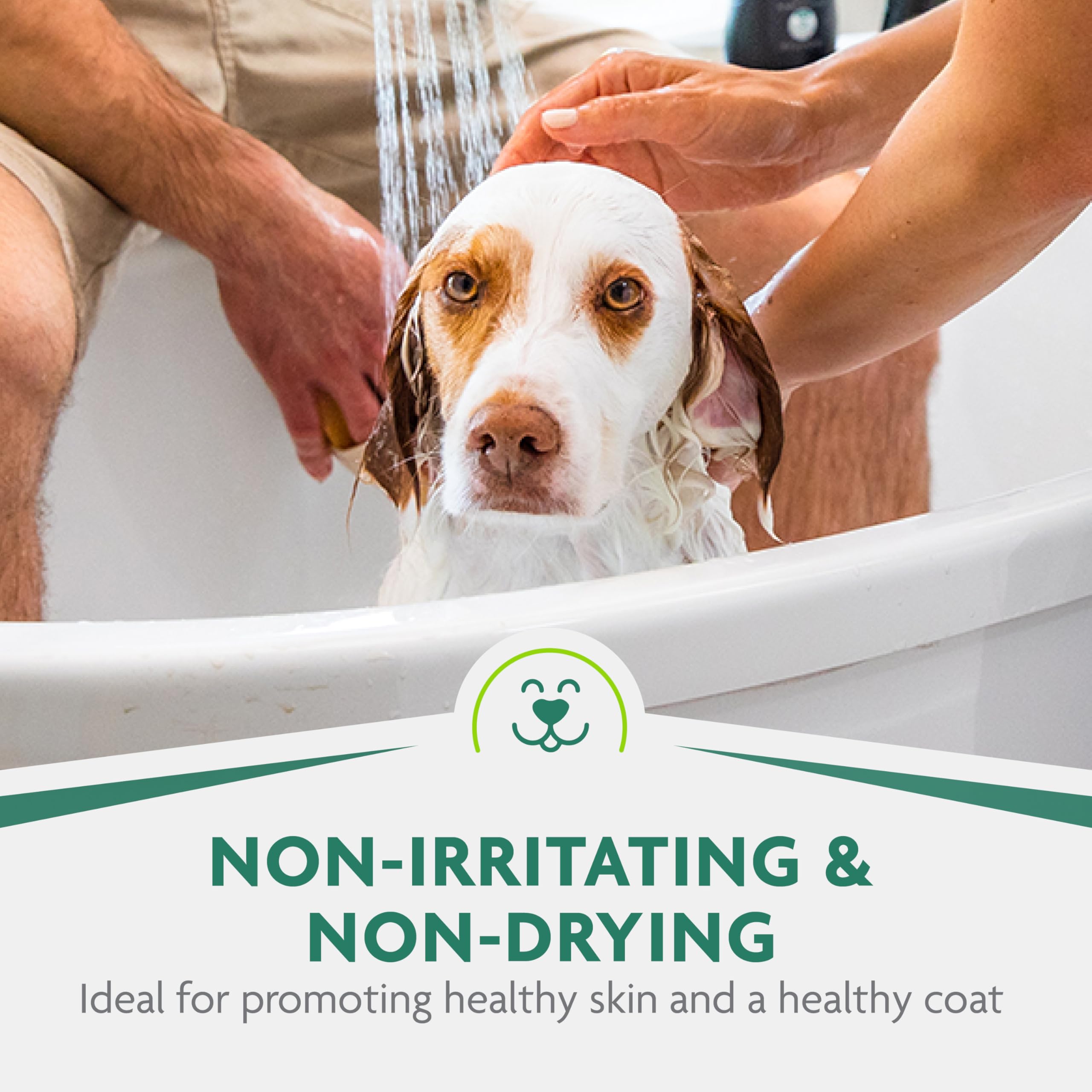 Rutina de baño regular con FURminator fortalece el vínculo con la mascota.