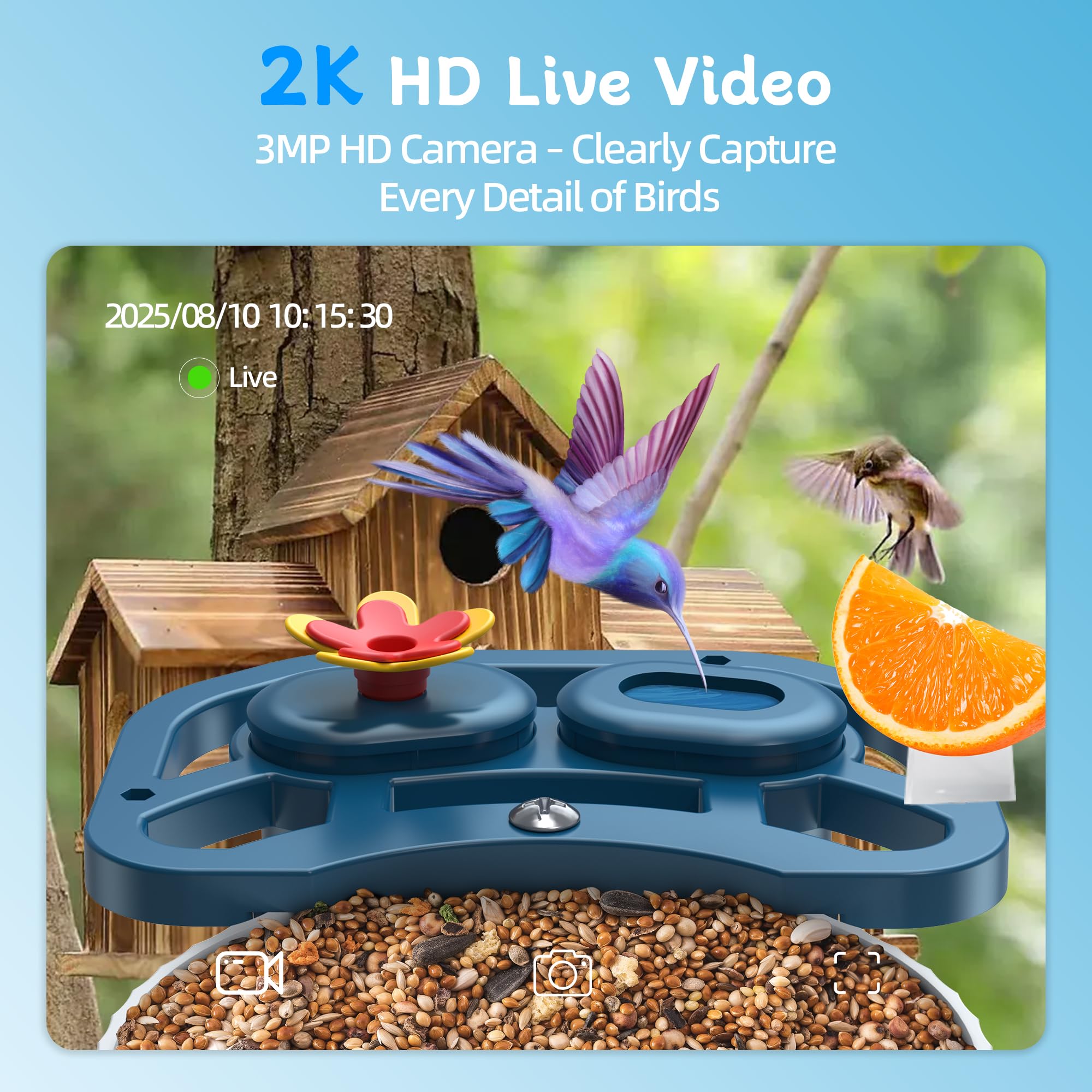 Vicohome deteccion de movimiento para grabar aves.