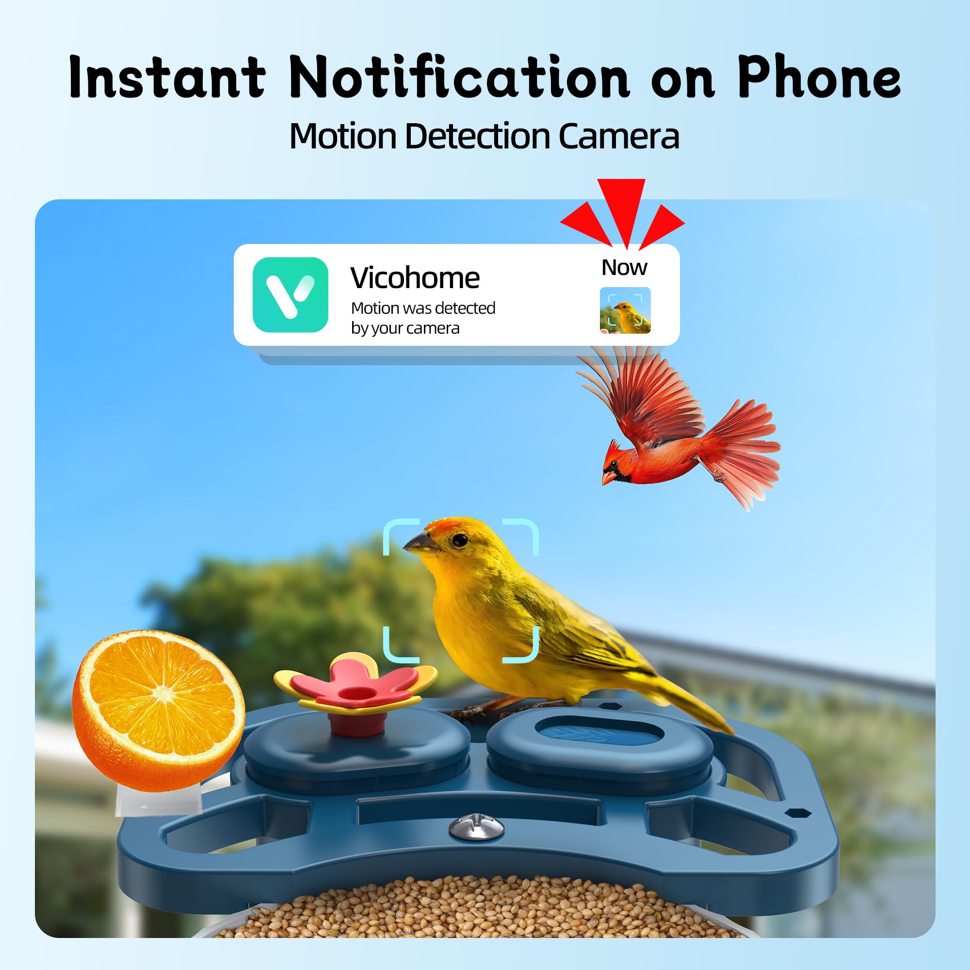 Vicohome camara con vision nocturna infrarroja para aves.