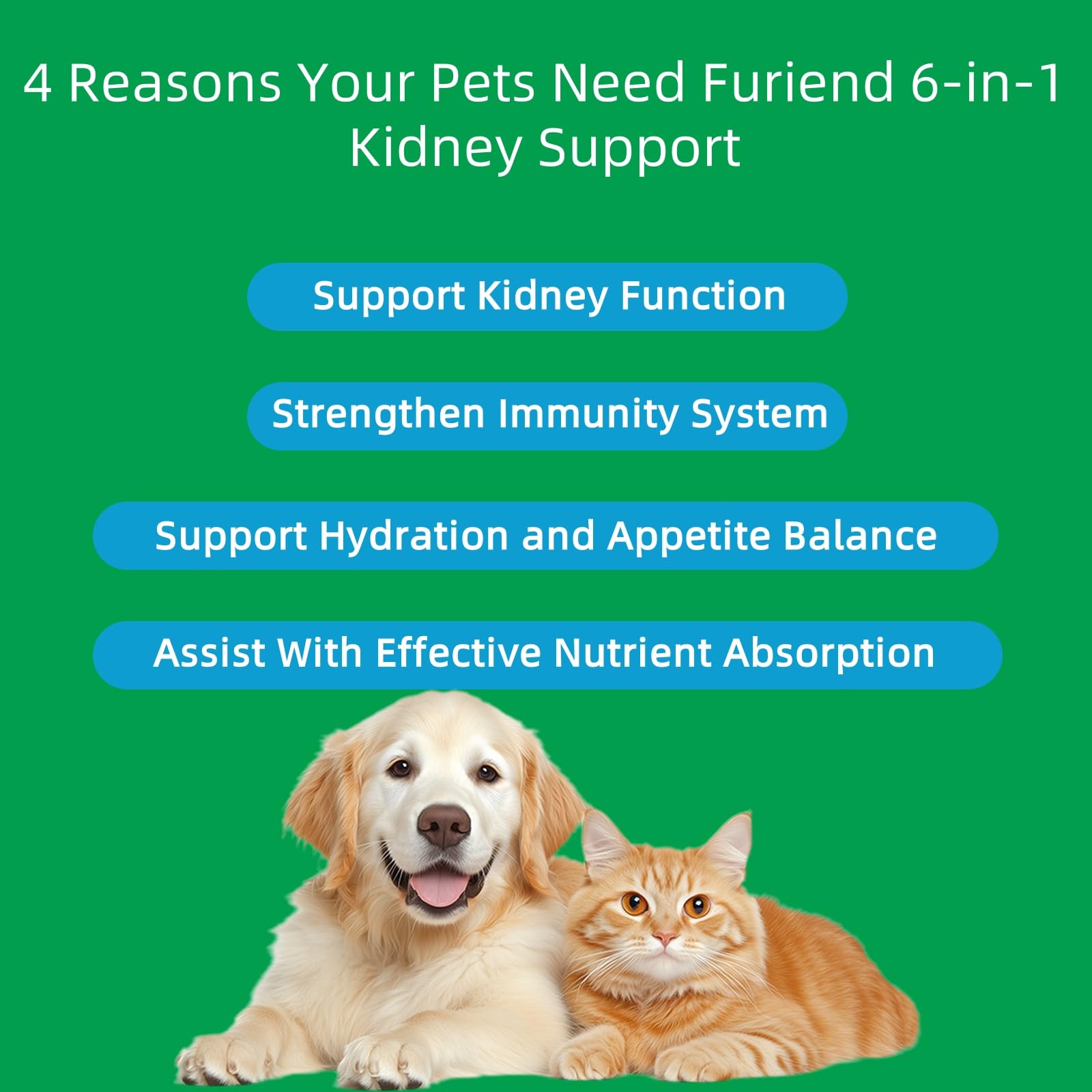 FURIEND, gotero de dosis para uso diario del suplemento renal.