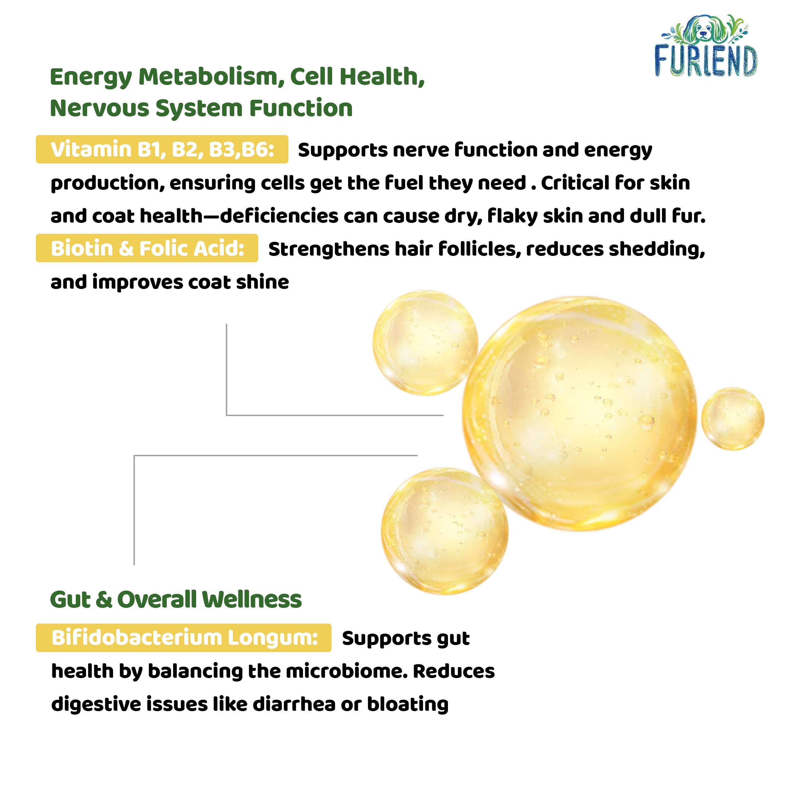 FURIEND 5X Collagen ayuda movilidad y confort articular.