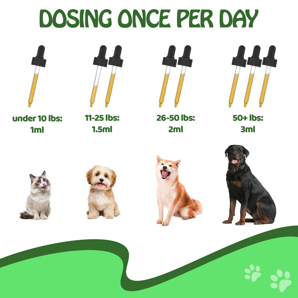 FURIEND 5X Collagen mejora inmunidad y digestión con probióticos.
