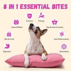 Furrolika probióticos para perros, envase con dosis para digestión equilibrada.