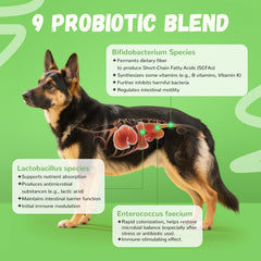 Gomitas Furrolika Probioticos Perros, textura suave para masticar diariamente.
