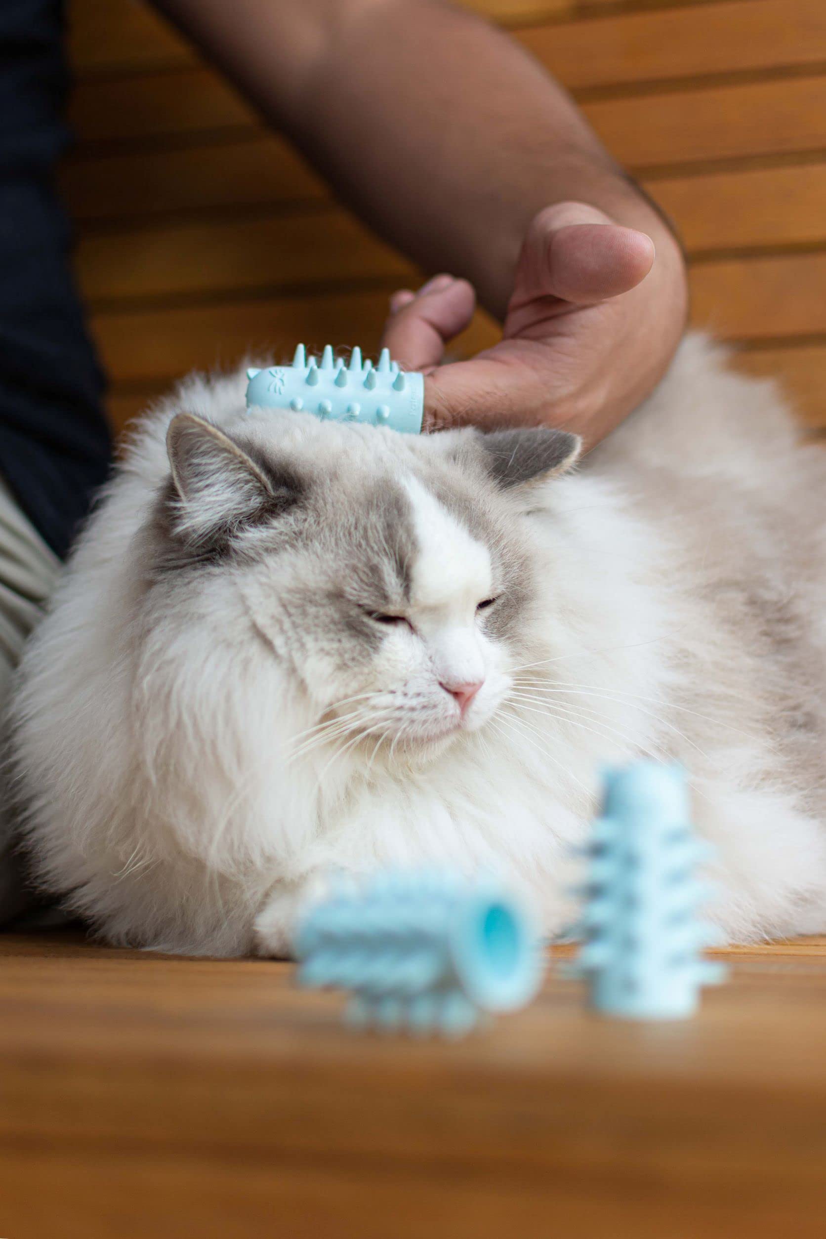 Furr&Purr regalo ideal para amantes de gatos.