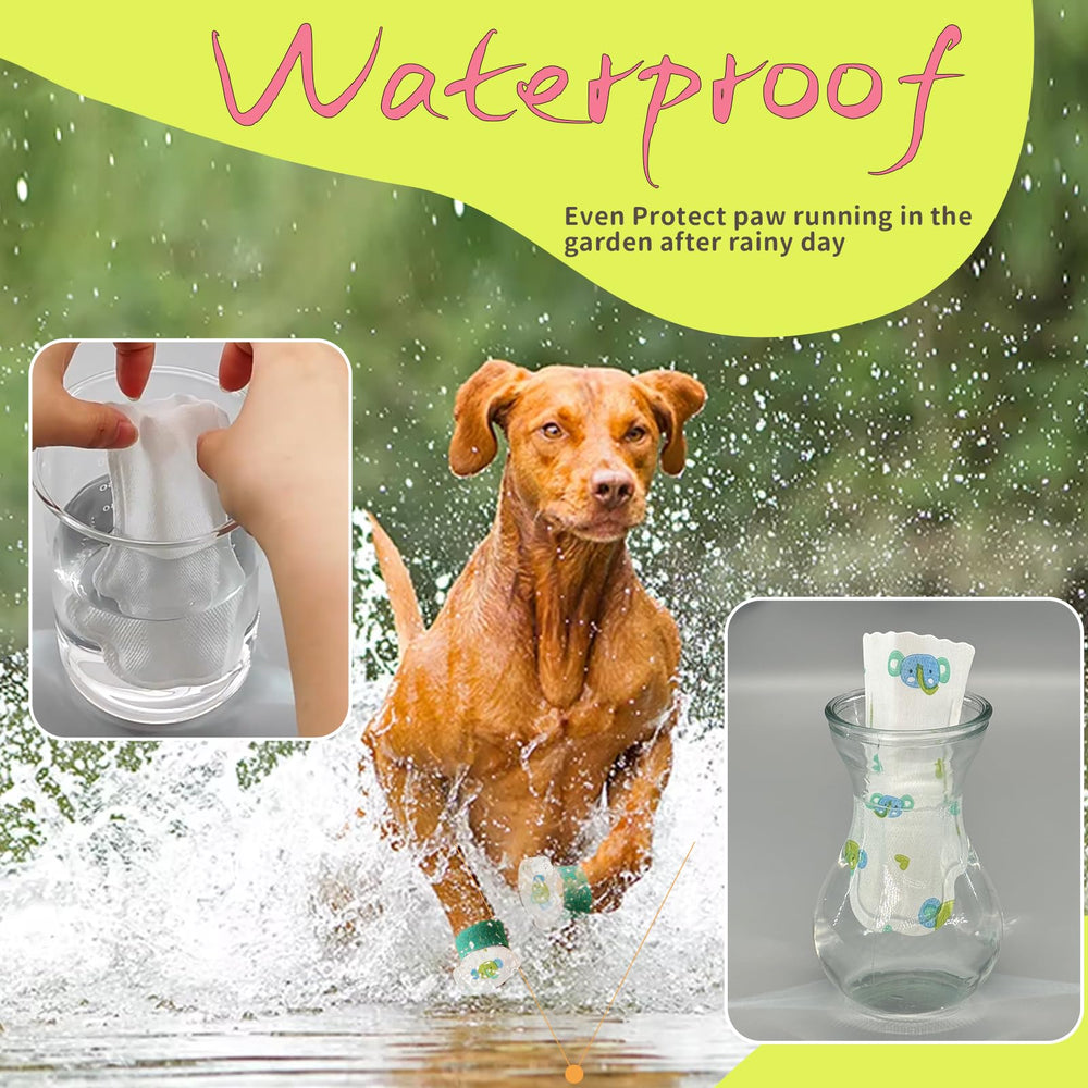 Patas secas con Furrtripsy en lluvia y barro durante el paseo