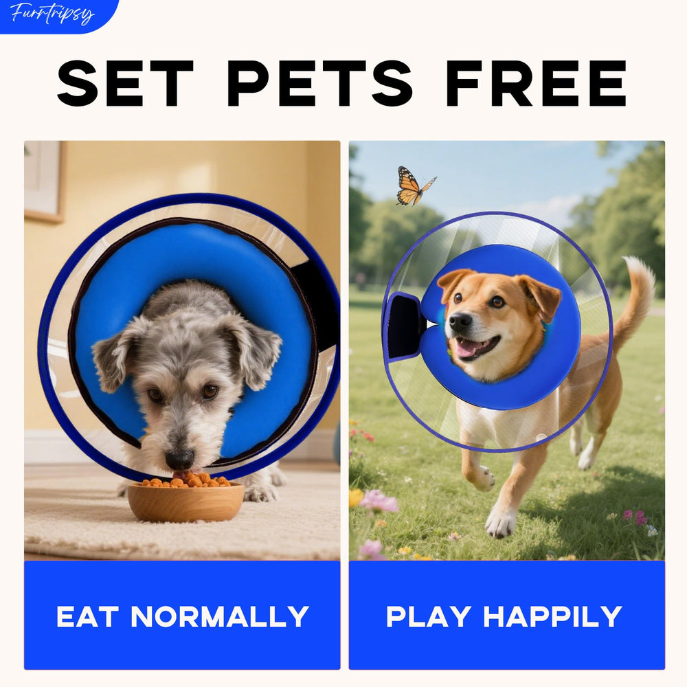 Válvula de inflado fácil de Furrtripsy para inflado rápido