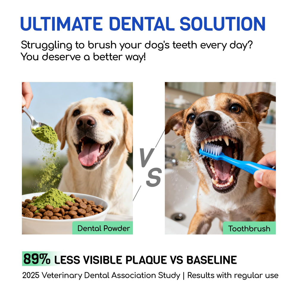 FURRY ARMOR Polvo dental para perros y gatos, aliento agradable.