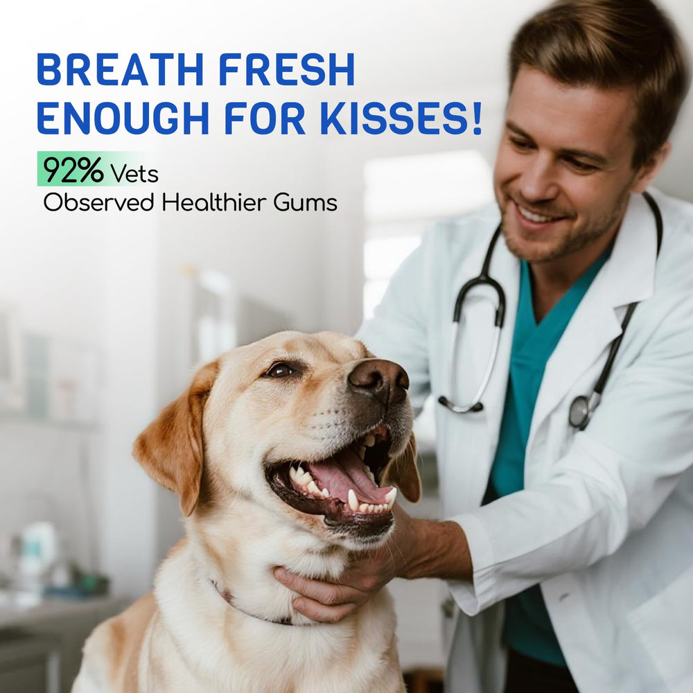 FURRY ARMOR Polvo dental aprobado por veterinarios para higiene bucal.