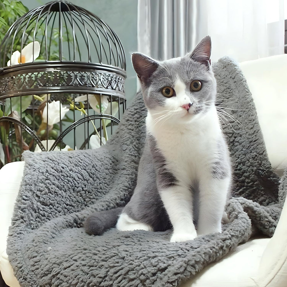 Manta para mascotas FurryBaby combate el pelo y protege muebles.