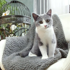 Manta para mascotas FurryBaby combate el pelo y protege muebles.