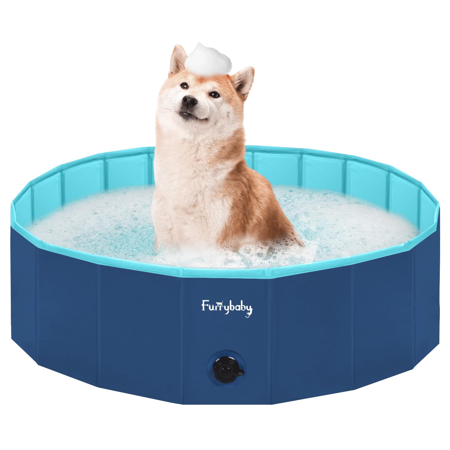 Piscina para perros Furrybaby con plástico duro, ideal para juego al aire libre.